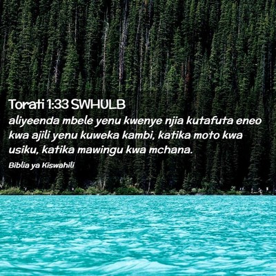 Picture 02 - Torati 1:33 SWHULB - aliyeenda mbele yenu kwenye njia kutafuta eneo - Bible Verse Picture