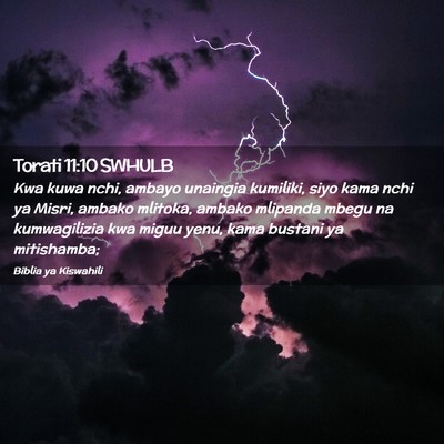 Picture 02 - Torati 11:10 SWHULB - Kwa kuwa nchi, ambayo unaingia kumiliki, siyo - Bible Verse Picture
