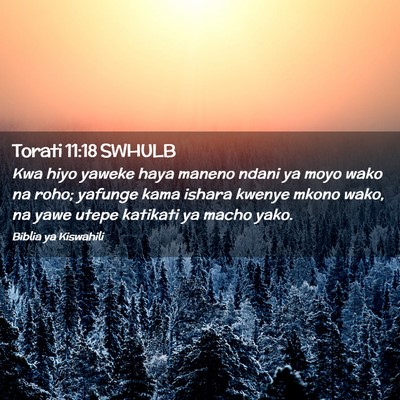 Picture 02 - Torati 11:18 SWHULB - Kwa hiyo yaweke haya maneno ndani ya moyo wako na - Bible Verse Picture