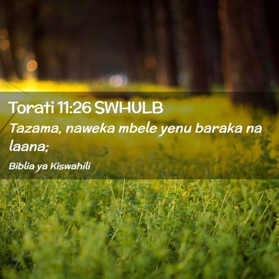 Picture 02 - Torati 11:26 SWHULB - Tazama, naweka mbele yenu baraka na - Bible Verse Picture