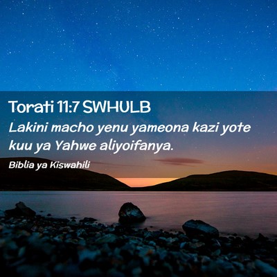 Picture 02 - Torati 11:7 SWHULB - Lakini macho yenu yameona kazi yote kuu ya Yahwe - Bible Verse Picture