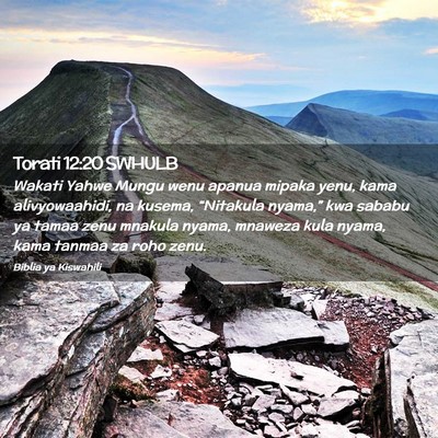 Picture 02 - Torati 12:20 SWHULB - Wakati Yahwe Mungu wenu apanua mipaka yenu, kama - Bible Verse Picture