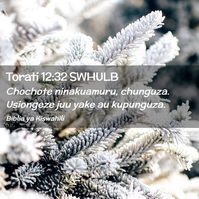 Picture 02 - Torati 12:32 SWHULB - Chochote ninakuamuru, chunguza. Usiongeze juu - Bible Verse Picture