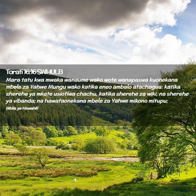 Picture 02 - Torati 16:16 SWHULB - Mara tatu kwa mwaka wanaume wako wote wanapaswa - Bible Verse Picture