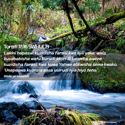 Picture 02 - Torati 17:16 SWHULB - Lakini hapaswi kuzidisha farasi kwa ajili yake, - Bible Verse Picture