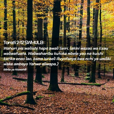 Picture 02 - Torati 2:12 SWHULB - Wahori pia waliishi hapo awali Seiri, lakini - Bible Verse Picture