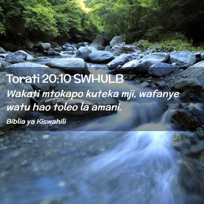 Picture 02 - Torati 20:10 SWHULB - Wakati mtokapo kuteka mji, wafanye watu hao toleo - Bible Verse Picture