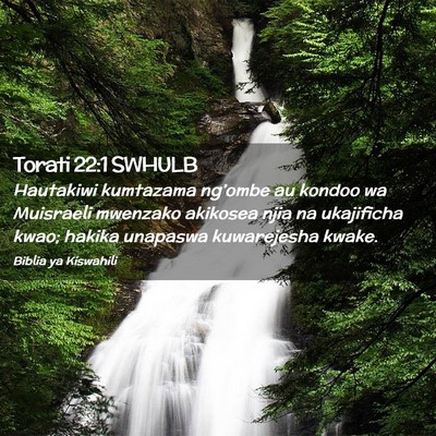 Picture 02 - Torati 22:1 SWHULB - Hautakiwi kumtazama ng’ombe au kondoo wa - Bible Verse Picture