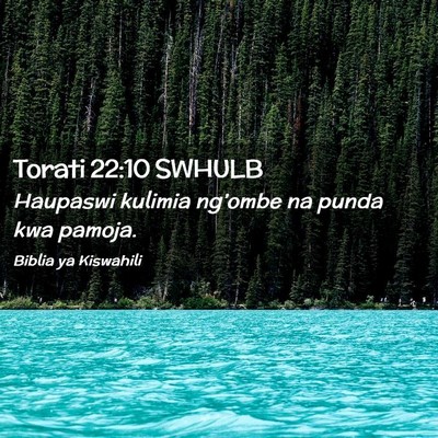 Picture 02 - Torati 22:10 SWHULB - Haupaswi kulimia ng’ombe na punda kwa - Bible Verse Picture