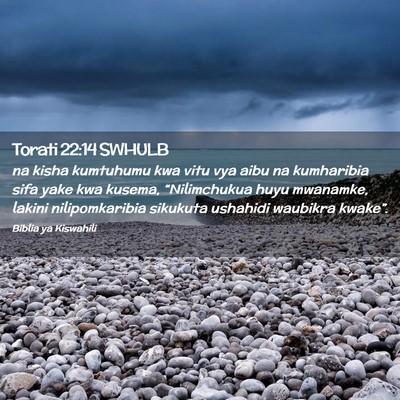Picture 02 - Torati 22:14 SWHULB - na kisha kumtuhumu kwa vitu vya aibu na - Bible Verse Picture