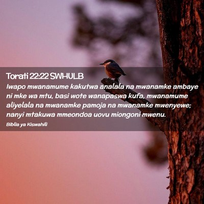 Picture 02 - Torati 22:22 SWHULB - Iwapo mwanamume kakutwa analala na mwanamke - Bible Verse Picture