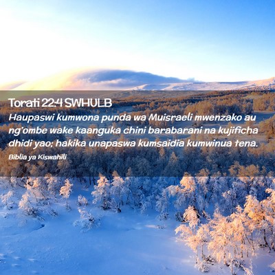 Picture 02 - Torati 22:4 SWHULB - Haupaswi kumwona punda wa Muisraeli mwenzako au - Bible Verse Picture