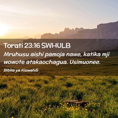 Picture 02 - Torati 23:16 SWHULB - Mruhusu aishi pamoja nawe, katika mji wowote - Bible Verse Picture