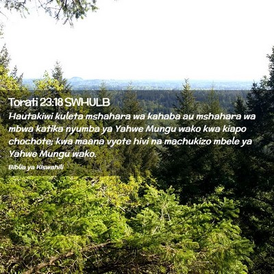 Picture 02 - Torati 23:18 SWHULB - Hautakiwi kuleta mshahara wa kahaba au mshahara - Bible Verse Picture