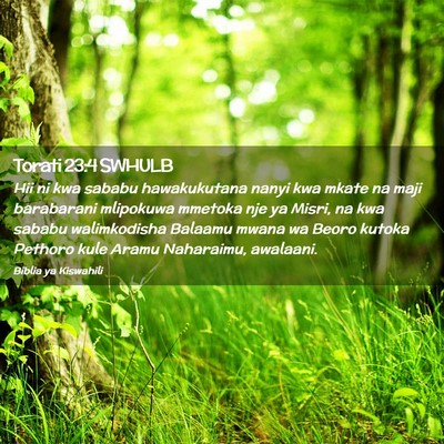 Picture 02 - Torati 23:4 SWHULB - Hii ni kwa sababu hawakukutana nanyi kwa mkate na - Bible Verse Picture
