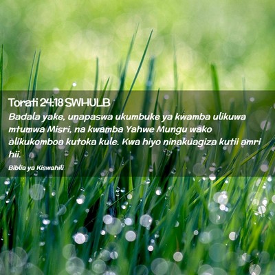 Picture 02 - Torati 24:18 SWHULB - Badala yake, unapaswa ukumbuke ya kwamba ulikuwa - Bible Verse Picture