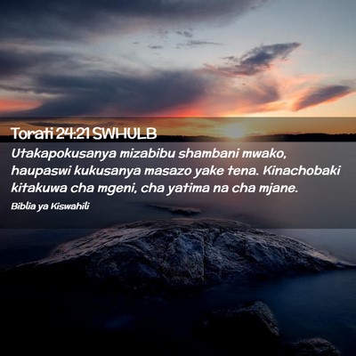 Picture 02 - Torati 24:21 SWHULB - Utakapokusanya mizabibu shambani mwako, haupaswi - Bible Verse Picture