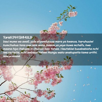 Picture 02 - Torati 24:4 SWHULB - basi mume wa awali, yule aliyemfukuza mara ya - Bible Verse Picture