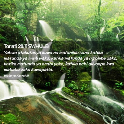 Picture 02 - Torati 28:11 SWHULB - Yahwe atakufanya kuwa na mafanikio sana katika - Bible Verse Picture