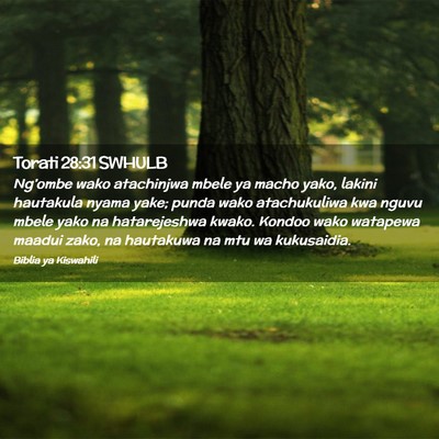 Picture 02 - Torati 28:31 SWHULB - Ng’ombe wako atachinjwa mbele ya macho yako, - Bible Verse Picture