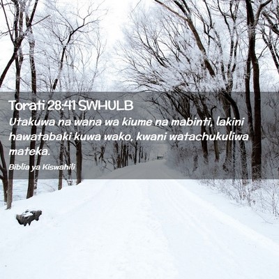 Picture 02 - Torati 28:41 SWHULB - Utakuwa na wana wa kiume na mabinti, lakini - Bible Verse Picture