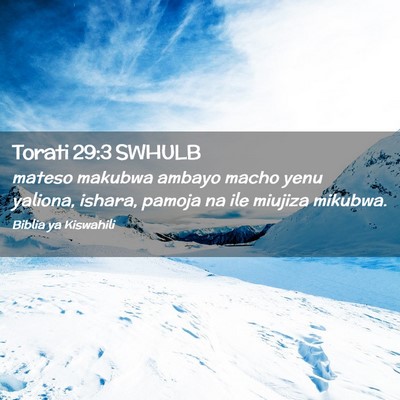 Picture 02 - Torati 29:3 SWHULB - mateso makubwa ambayo macho yenu yaliona, ishara, - Bible Verse Picture