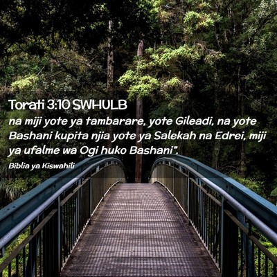 Picture 02 - Torati 3:10 SWHULB - na miji yote ya tambarare, yote Gileadi, na yote - Bible Verse Picture