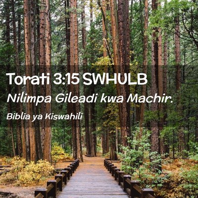 Picture 02 - Torati 3:15 SWHULB - Nilimpa Gileadi kwa - Bible Verse Picture