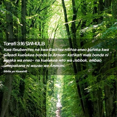 Picture 02 - Torati 3:16 SWHULB - Kwa Reubenites na kwa Gadites nilitoa eneo kutoka - Bible Verse Picture
