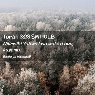 Picture 02 - Torati 3:23 SWHULB - Nilimsihi Yahwe kwa wakati huo, - Bible Verse Picture