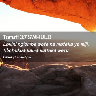 Picture 02 - Torati 3:7 SWHULB - Lakini ng'ombe wote na mateka ya miji, tilichukua - Bible Verse Picture