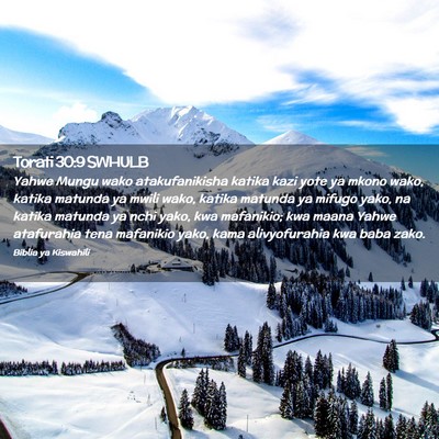 Picture 02 - Torati 30:9 SWHULB - Yahwe Mungu wako atakufanikisha katika kazi yote - Bible Verse Picture