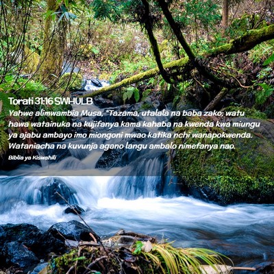Picture 02 - Torati 31:16 SWHULB - Yahwe alimwambia Musa, “Tazama, utalala na baba - Bible Verse Picture