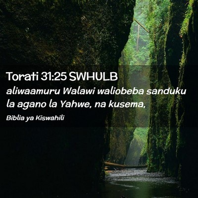 Picture 02 - Torati 31:25 SWHULB - aliwaamuru Walawi waliobeba sanduku la agano la - Bible Verse Picture