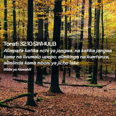 Picture 02 - Torati 32:10 SWHULB - Alimpata katika nchi ya jangwa, na katika jangwa - Bible Verse Picture