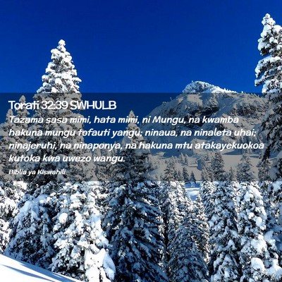 Picture 02 - Torati 32:39 SWHULB - Tazama sasa mimi, hata mimi, ni Mungu, na kwamba - Bible Verse Picture