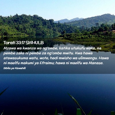 Picture 02 - Torati 33:17 SWHULB - Mzawa wa kwanza wa ng’ombe, katika utukufu - Bible Verse Picture
