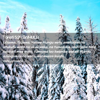 Picture 02 - Torati 5:24 SWHULB - Ulisema, Tazama, Yahwe Mungu wetu ametuonesha - Bible Verse Picture