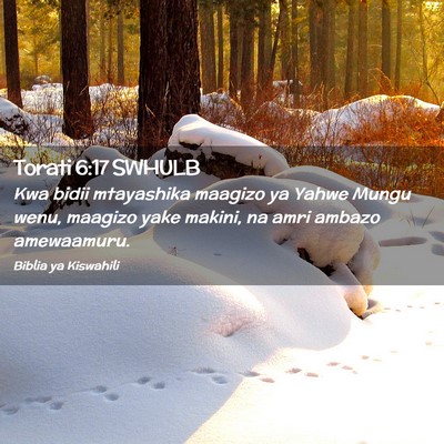 Picture 02 - Torati 6:17 SWHULB - Kwa bidii mtayashika maagizo ya Yahwe Mungu wenu, - Bible Verse Picture