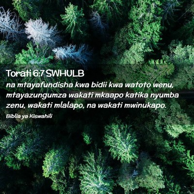 Picture 02 - Torati 6:7 SWHULB - na mtayafundisha kwa bidii kwa watoto wenu, - Bible Verse Picture