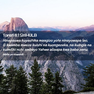 Picture 02 - Torati 8:1 SWHULB - Mnapaswa kuyashika maagizo yote ninayowapa leo, - Bible Verse Picture