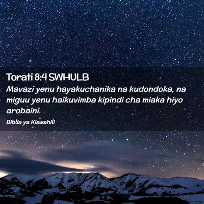 Picture 02 - Torati 8:4 SWHULB - Mavazi yenu hayakuchanika na kudondoka, na miguu - Bible Verse Picture