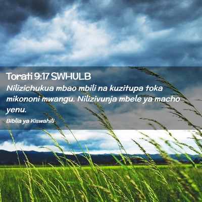 Picture 02 - Torati 9:17 SWHULB - Nilizichukua mbao mbili na kuzitupa toka mikononi - Bible Verse Picture