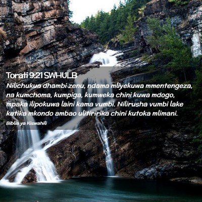 Picture 02 - Torati 9:21 SWHULB - Nilichukua dhambi zenu, ndama mliyekuwa - Bible Verse Picture