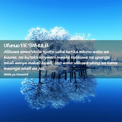 Picture 02 - Ufunuo 1:16 SWHULB - Alikuwa ameshikilia nyota saba katika mkono wake - Bible Verse Picture
