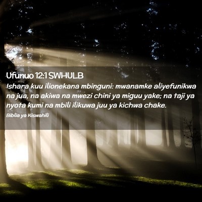 Picture 02 - Ufunuo 12:1 SWHULB - Ishara kuu ilionekana mbinguni: mwanamke - Bible Verse Picture