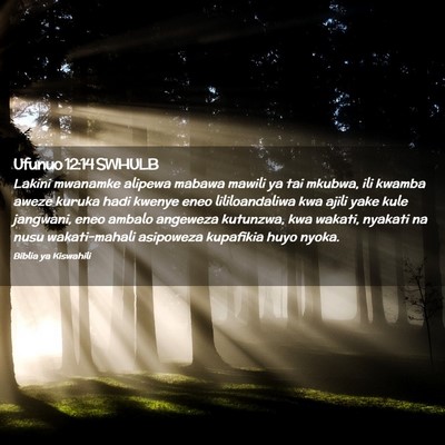 Picture 02 - Ufunuo 12:14 SWHULB - Lakini mwanamke alipewa mabawa mawili ya tai - Bible Verse Picture