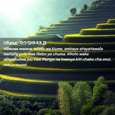 Picture 02 - Ufunuo 12:5 SWHULB - Alimzaa mwana, mtoto wa kiume, ambaye atayatawala - Bible Verse Picture