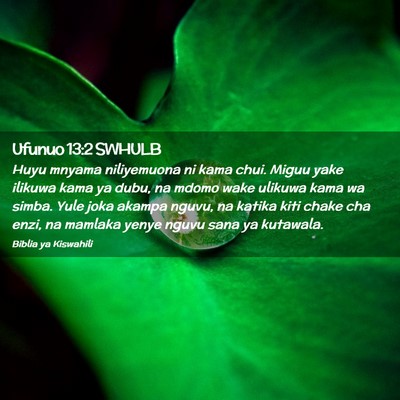 Picture 02 - Ufunuo 13:2 SWHULB - Huyu mnyama niliyemuona ni kama chui. Miguu yake - Bible Verse Picture