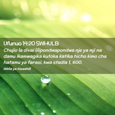 Picture 02 - Ufunuo 14:20 SWHULB - Chujio la divai lilipondwapondwa nje ya mji na - Bible Verse Picture